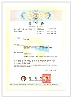 Patent certificate (casting mold)
